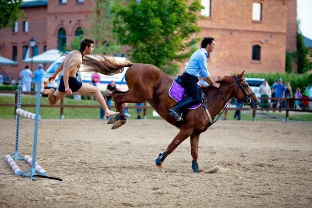 Rok temu podczas Święta Konia można było zobaczyć m.in. pokaz zespołu Horseman Team. W niedzielę atrakcji w Mierzęcinie także nie zabraknie.