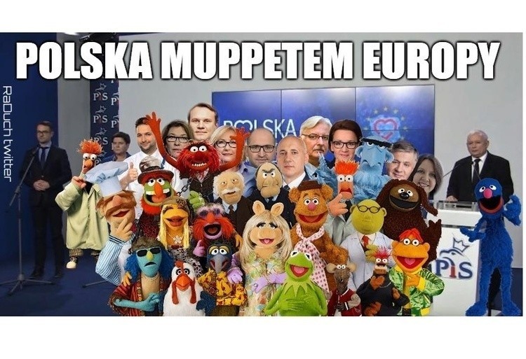 Wyniki wyborów do Europarlamentu 2019 MEMY. "Polska muppetem Europy"? Tak internauci komentują eurowybory w Polsce 1.6.2019