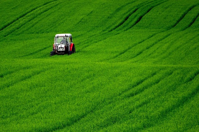 Rolnicy chcieliby wsparcia do zakupu nawozów