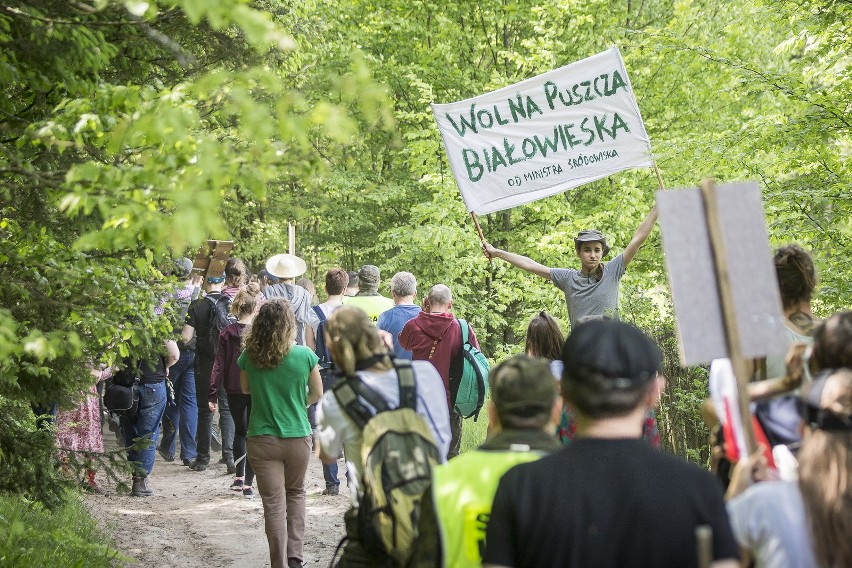 Spacer wolności w Puszczy Białowieskiej [ZDJĘCIA]