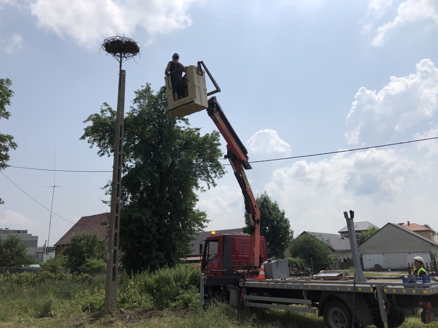 Pracownicy Urzędu Miejskiego w Choroszczy uratowali bocianie...
