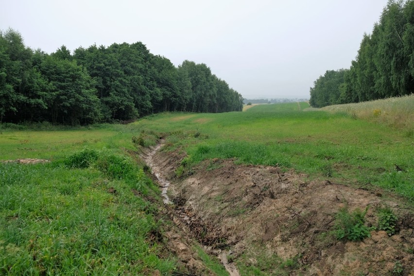 Projekt Koprzywnica Patrzy/My - u źródeł rzeki Koprzywianki (ZDJĘCIA)