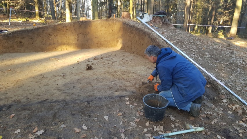 Badania archeologiczne jednego z kurhanów w Lesie...