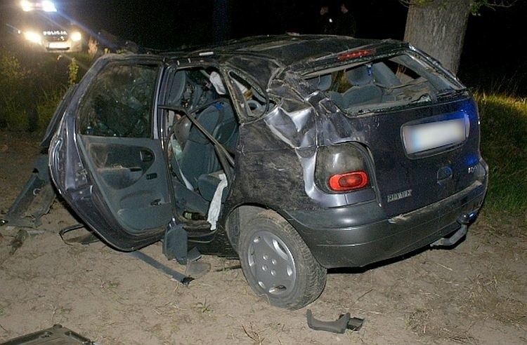 36-latek wypadł z drogi w okolicach miejscowości Nowowola....