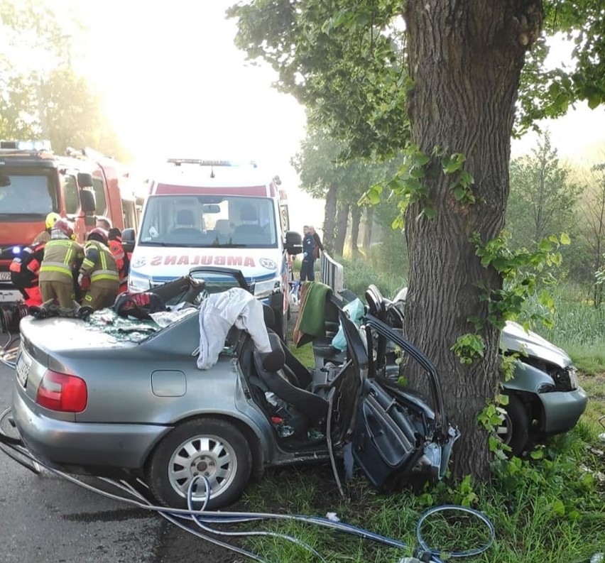 W Kochłowicach audi uderzyło w drzewa.