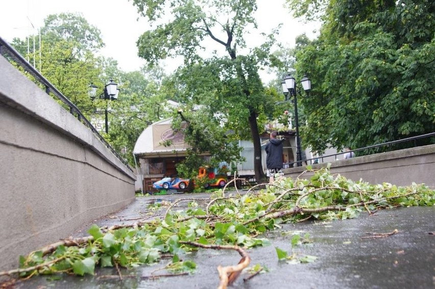Burze w Wielkopolsce: Połamane drzewa i uszkodzone dachy w...