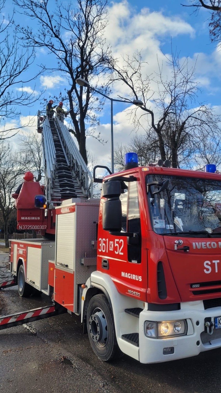 Strażacy mają w Tarnowie i regionie od rana dużo pracy....