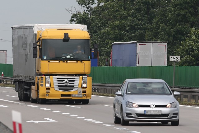 Inspektorzy ruchu drogowego w ciągu jednego dnia wlepili około 30 mandatów. 