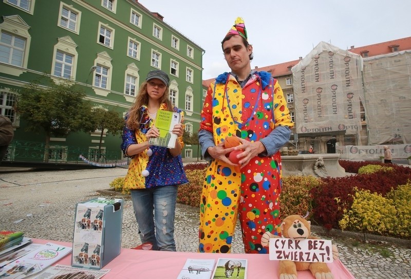 Cyrk bez zwierząt - protest klaunów w Szczecinie