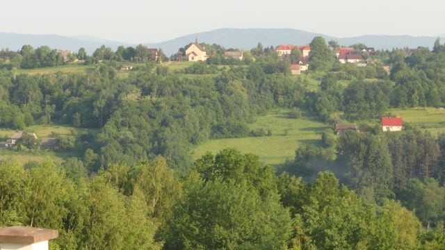 Przydrożna kapliczka św. Rity przyciąga tłumy