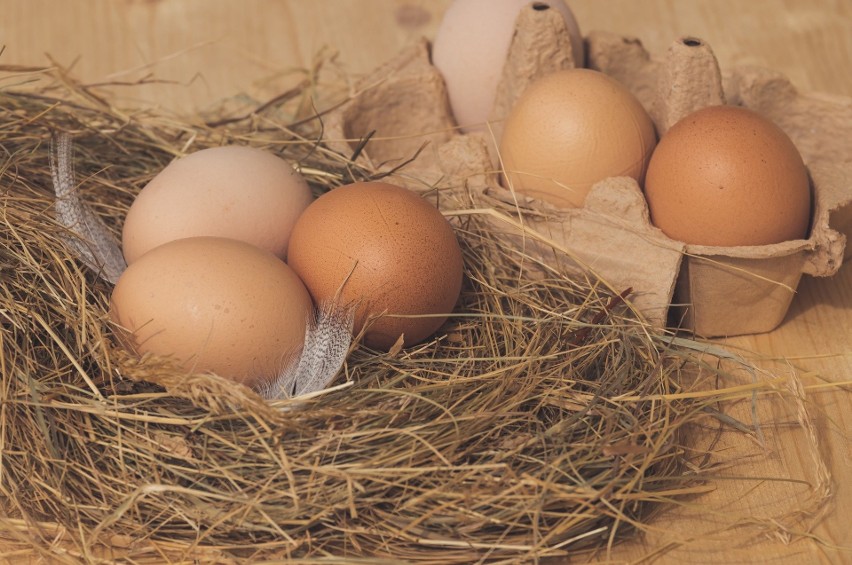 Jajo, czyli cud nie tylko od święta. Niepozorne jajo skrywa w skorupce mnóstwo tajemnic