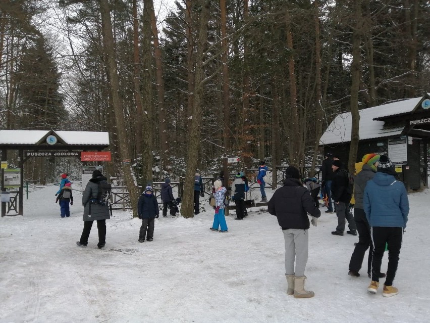 Bajkowe, zimowe widoki w drodze na Łysicę. W piątek 15 stycznia turystów nie brakowało (ZDJĘCIA)