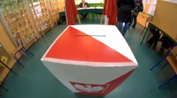 Wybory samorządowe 2014 – jak głosować?