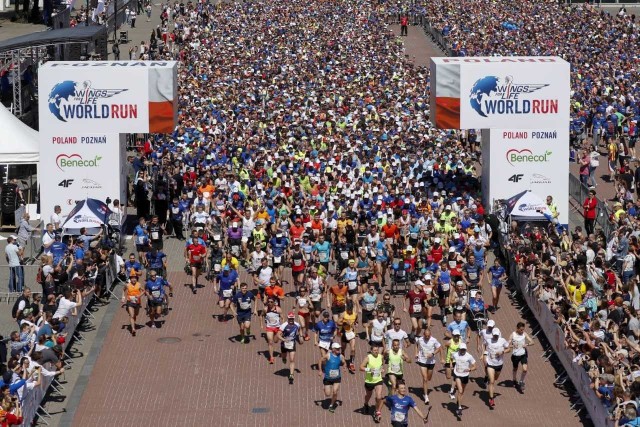 Poznański bieg będzie jednym z 12 odbywających się w tym samym czasie na świecie pod szyldem Wings for Life World Run