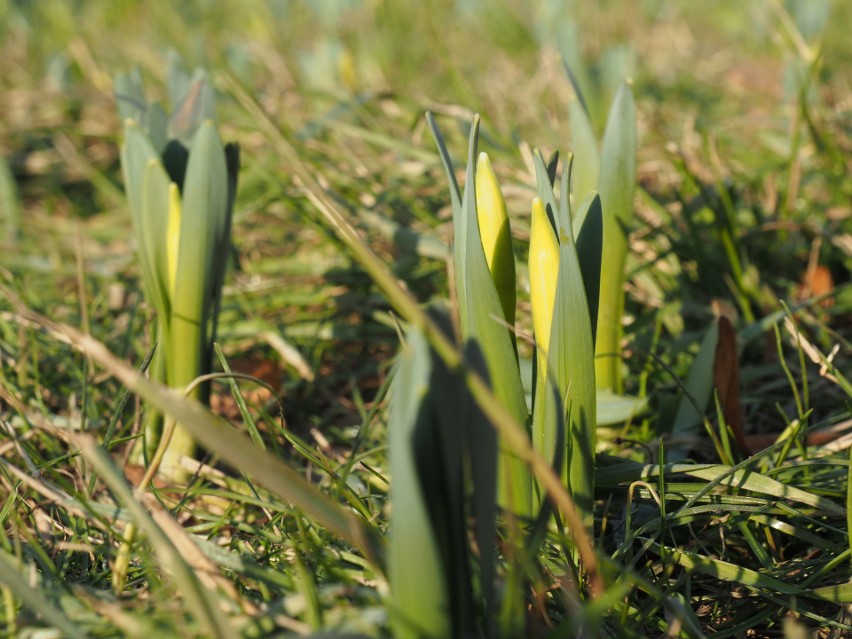 Pogoda w Łodzi na najbliższe dni. Do Łodzi dotarło ocieplenie, temperatura wzrośnie do 15 st. C 