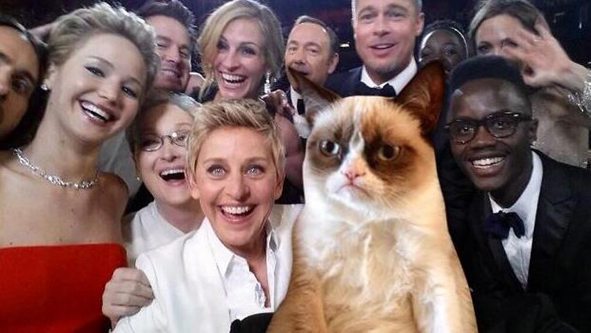 Selfie gwiazd z najsłynniejszym kotem na świecie? Czemu nie,...