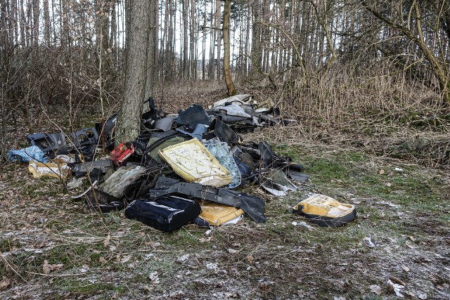 W Nadleśnictwie Lutówko ktoś wyrzucił śmieci - elementy rozbiórek samochodowych. Wspólnie z chojnicką policją straż leśna znalazła i ukarała sprawców
