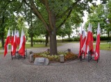 Plac Konstytucji 3 Maja: Obchody Dnia Wolności i Solidarności. Czesław Renkiewicz złożył kwiaty pod pomnikiem (zdjęcia)