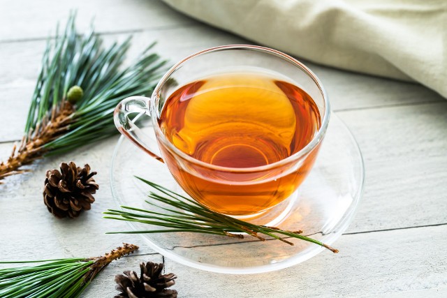 Herbata z igieł sosny to skuteczny i do tego tani sposób na zwalczenie infekcji i rozgrzanie organizmu w czasie jesiennych chłodnych wieczorów.