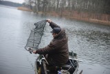 Dyrektor RZGW w Bydgoszczy wprowadza wymiary ochronne dla ryb w obwodach wędkarskich