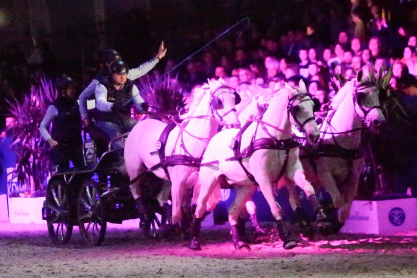 Czwartek był pierwszym dniem rywalizacji w międzynarodowych zawodach Cavaliada Tour w Lublinie (ZDJĘCIA)