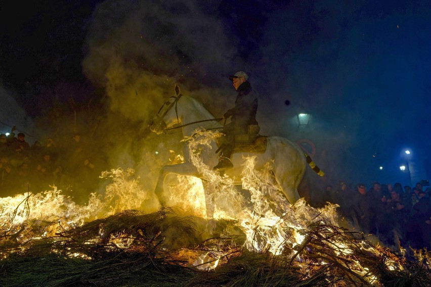 Kontrowersyjna tradycja wróciła do Hiszpanii. Konie znów pędziły w płomieniach, wbrew apelom obrońców praw zwierząt