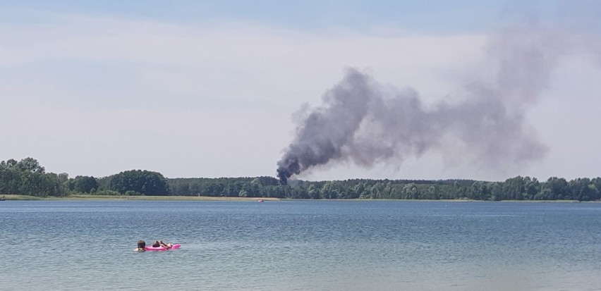 Pożar koło jeziora w Pszczewie