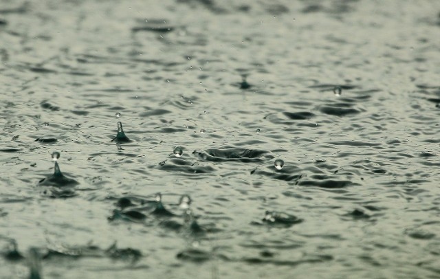W piątek, 4 listopada, pogoda nie będzie nas rozpieszczać. Opadów deszczu należy się spodziewać praktycznie w całym województwie lubuskim.