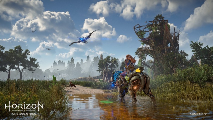 Horizon Forbidden West wygląda na PS4 równie pięknie jak na PS5. Deweloperzy opublikowali nowe screenshoty z gry