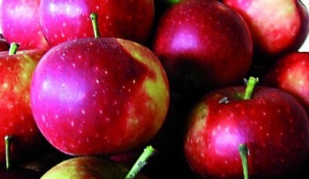 Sadownictwo. Eksport jabłek w tym roku kulejeW tym roku jabłka źle się przechowują. Wielu sadowników musiało wcześniej wyjąć je z chłodni i przechowalni – dlatego przed świętami ceny tych owoców spadły.