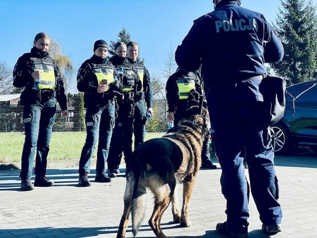 We wspólnych służbach z policjantami Komendy Miejskiej Policji w Słupsku uczestniczą litewscy policjanci ze Szkoły Policji w Kownie. Goście z Litwy przebywają z wizytą w słupskiej Szkole Policji.