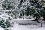 Prognoza pogody na sobotę i niedzielę, 30 i 31 stycznia dla Świętokrzyskiego. Uwaga śnieg! Są ostrzeżenia meteorologiczne 