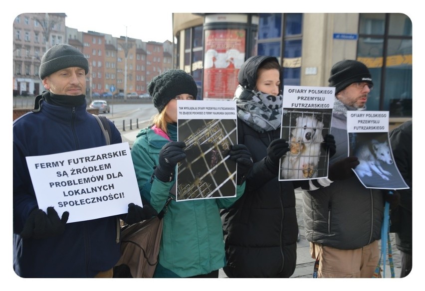 Protest przeciwko hodowli zwierząt futerkowych [ZDJĘCIA]
