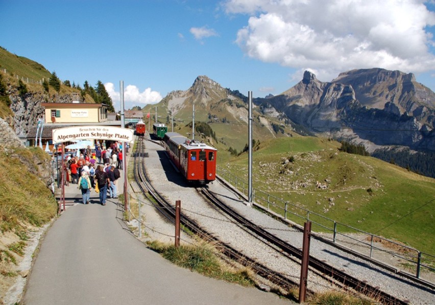 Szwajcarskimi kolejami do alpejskich ogrodów
