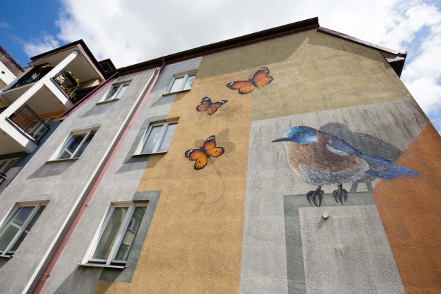 Mural „Motyle i ptak” powstał na budynku wspólnoty mieszkaniowej przy ul. Pogodnej 29. Jest szansa na kolejne