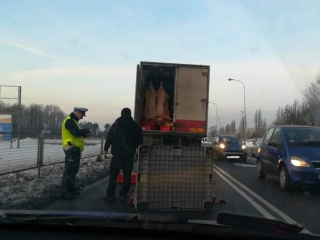 W czwartek rano na ul. Maratońskiej z auta dostawczego wypadł duży pojemnik, a z niego na jezdnię kilkadziesiąt kilogramów wieprzowiny! Na szczęście za samochodem przewożącym mięso nikt nie jechał.