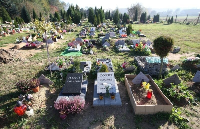 Na cmentarzu przy ul. Malowniczej jest ok. tysiąca...