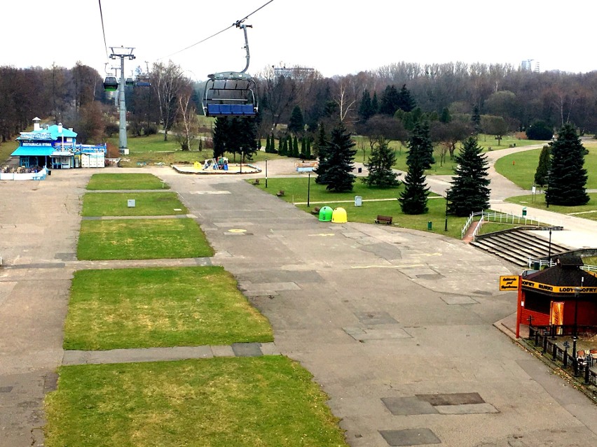 Park Śląski budzi się po zimie. Zobaczcie galerię zdjęć 