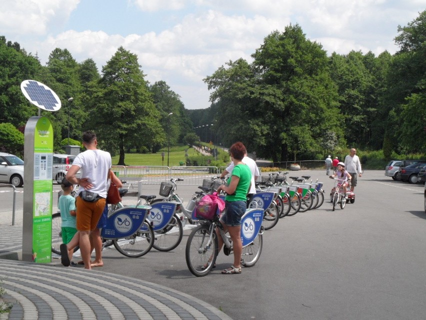 Leśny Piknik Rodzinny Ekoodpowiedzialnie 2015 w Katowicach