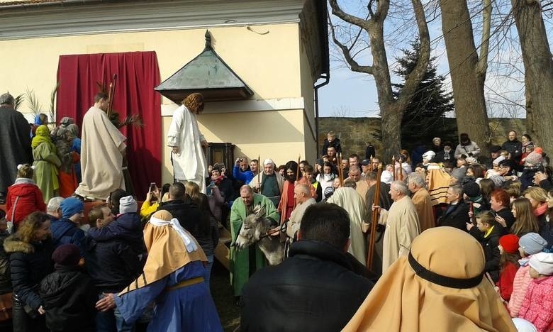 Zdjęcia z „Wjazd Pana Jezusa do Jerozolimy”  z 2018 r.