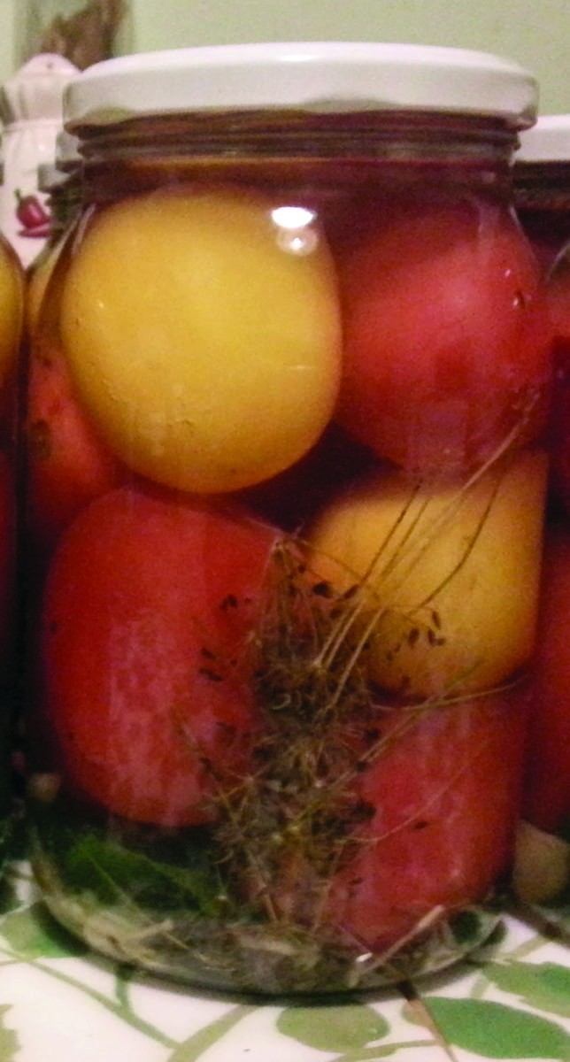Kiszone pomidory na zimę...
