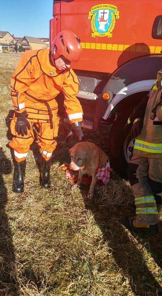 Strażacy z OSP Łeba uratowali topiącego się psa.