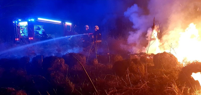 Plaga pożarów traw w powiecie koneckim. Zobacz na zdjęciach, jak niebezpieczny to proceder