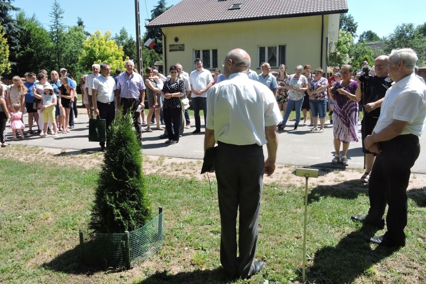 Trynosy. Mieszkańcy znów zaskoczyli. Aleja przy lesie...