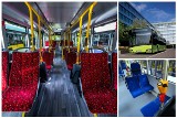 MZK Toruń. Solaris wygrał przetarg. 21 nowych autobusów pojawi się jesienią na ulicach Torunia [ZDJĘCIA POJAZDÓW]