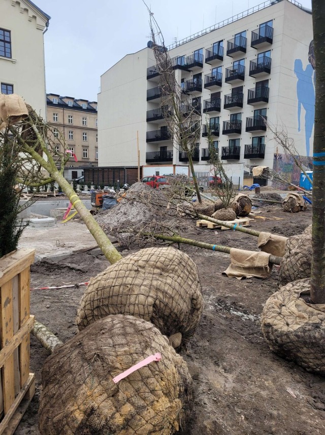 Kraków. Po utworzeniu parku przygotowany i zrealizowany ma zostać czwarty etap obejmujący budowę pawilonu od strony ul. Karmelickiej. Budynek składać ma się z części parterowej i dwóch pięter. W pawilonie przewidziano część restauracyjną, kawiarnianą (z możliwością lokalizowania stolików na zewnątrz). Aranżacja obiektu ma być związana z postacią Wisławy Szymborskiej i jej twórczością. Pawilon będzie mógł być więc wykorzystywany np. w celu organizacji spotkań literackich.