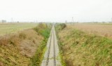 PKP PLK SA wyremontowały odcinek linii kolejowej 206 Dziarnowo - Wapienne. Pociągi towarowe jeżdżą szybciej [zdjęcia]