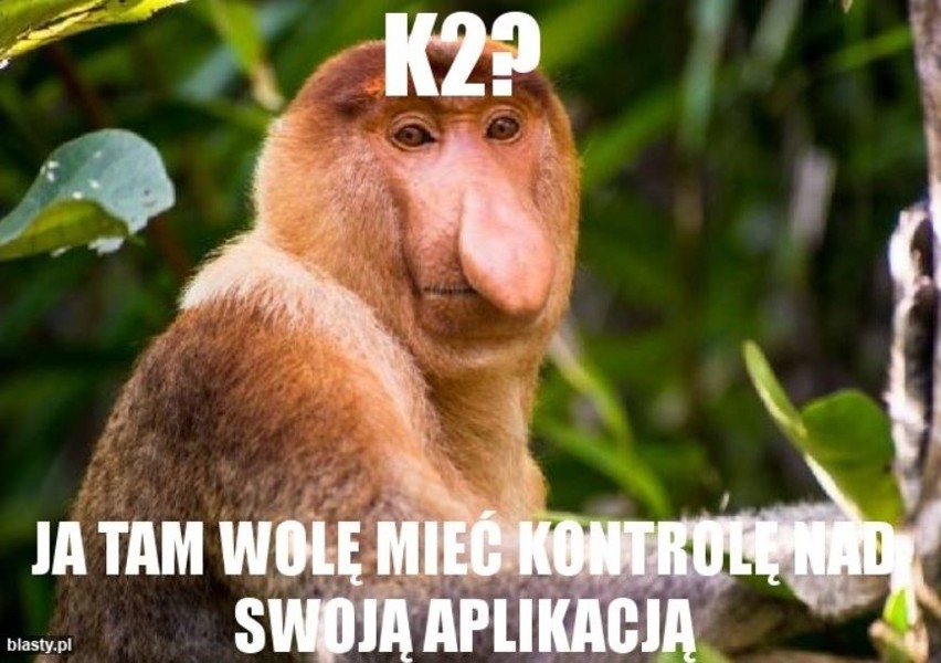 Memy o K2 pojawiły się w polskim internecie błyskawicznie....