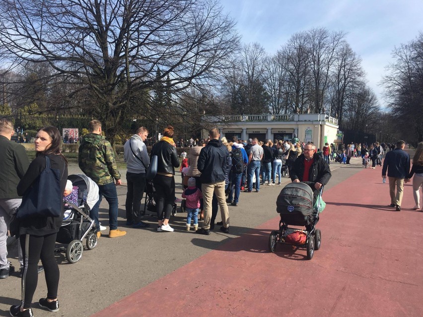 Park Śląski jest w niedzielę oblegany. Nic dziwnego, bo to...