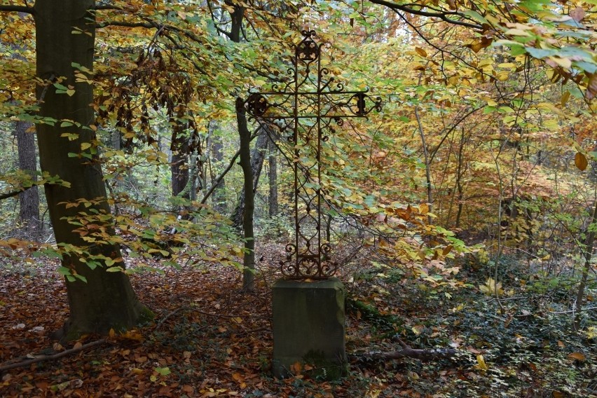 Zapomniane cmentarze na Kaszubach